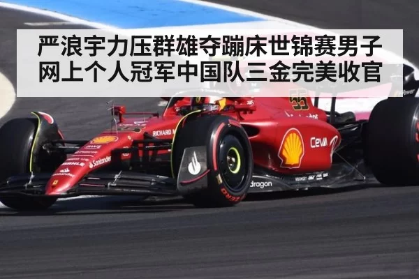 严浪宇力压群雄夺蹦床世锦赛男子网上个人冠军中国队三金完美收官